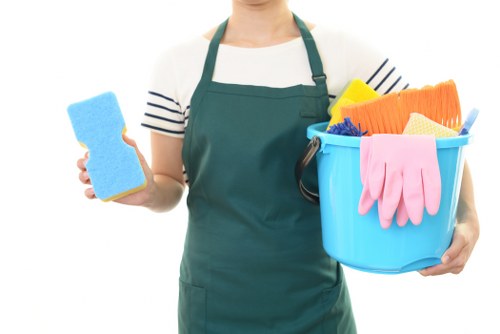 Carpet cleaning team starting service in a home interior