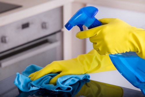 Professional mattress cleaning service for Richmond homes