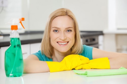 Professional oven cleaning service for Richmond homes and local properties