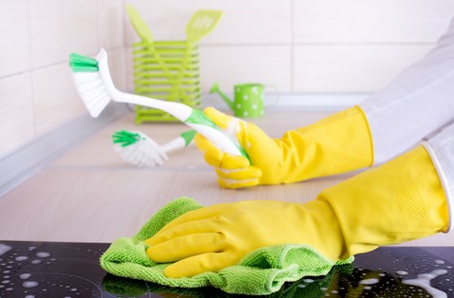 Preparation checklist for domestic cleaning in Richmond homes