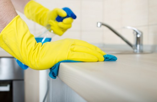 Pet stain removal service for carpets, rugs, and sofas in Richmond