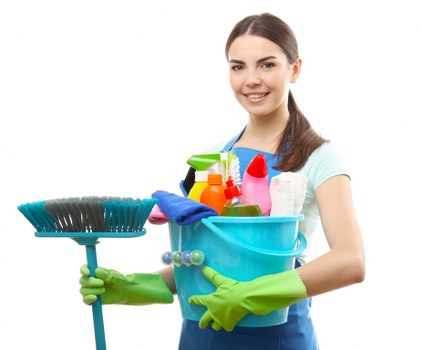 Supplier audit and due diligence for Richmond carpet cleaning
