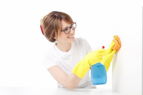 Local mattress cleaning for rental and guest properties in Richmond