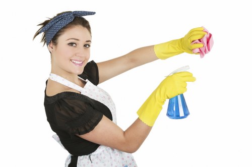 One-off domestic cleaning for Richmond period homes and apartments