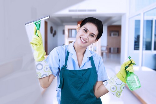 Bright, clear windows after a Richmond window cleaning service