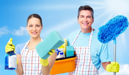 Pet stain and odour removal for upholstery in Richmond